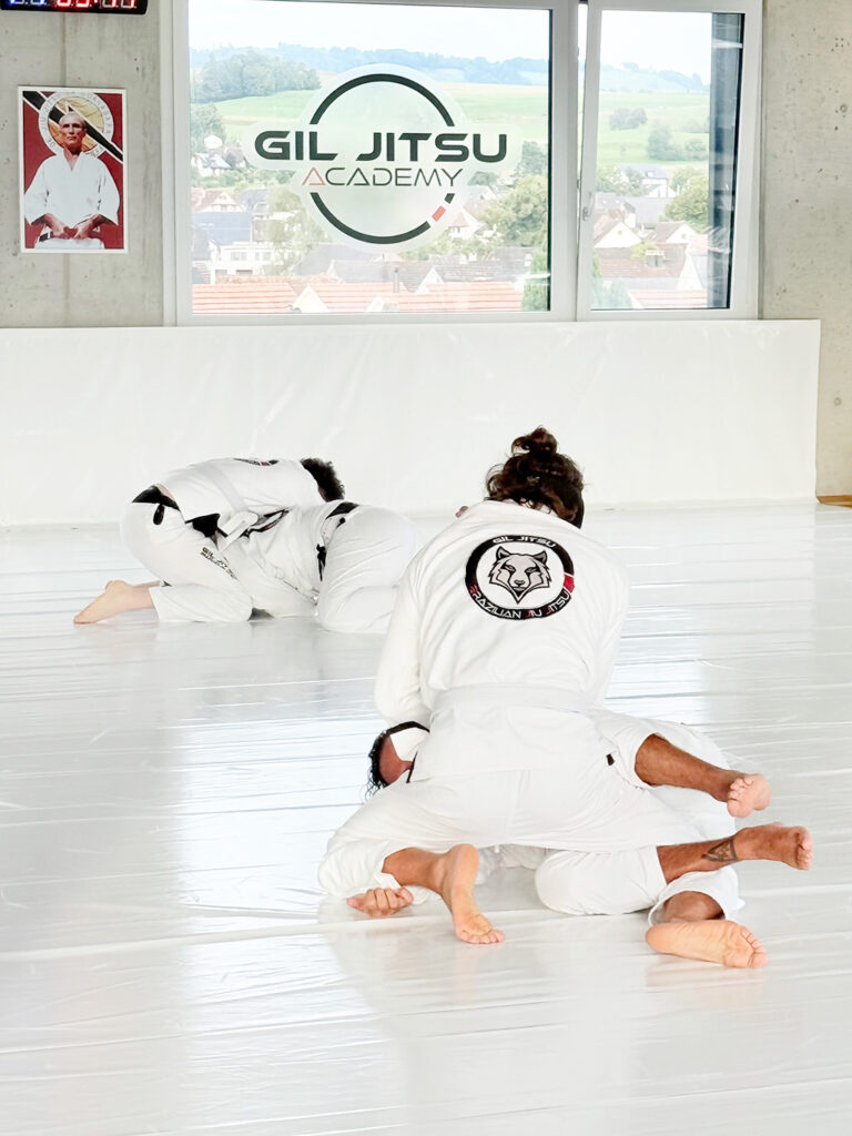 BJJ group class-adults
